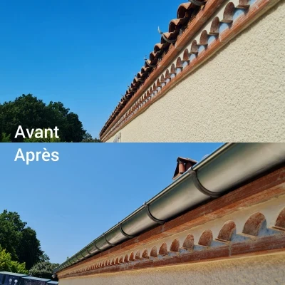 Remplacement gouttière zinc