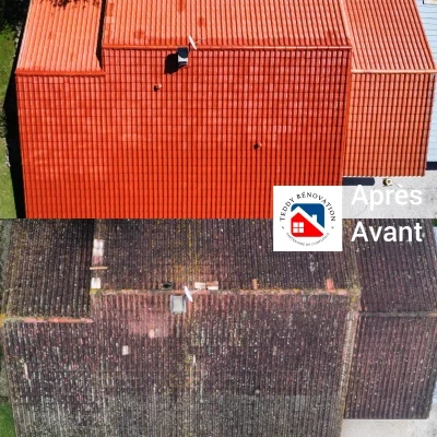 Démoussage toiture